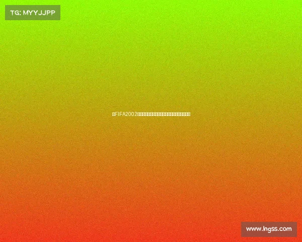 以FIFA2002世界杯飞火为中心经典赛场激情与绿茵传奇再现